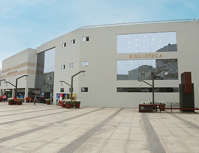 Biblioteca Ingenier&iacute;a